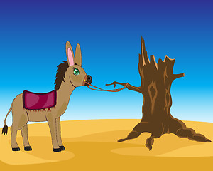 Image showing Burro in desert