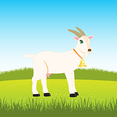 Image showing Nanny goat on field