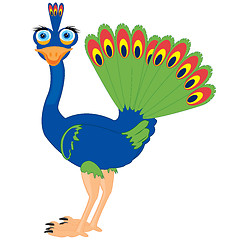 Image showing Cartoon of the bird peacock