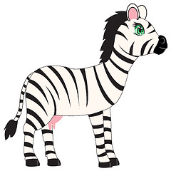 Image showing Animal zebra on white background