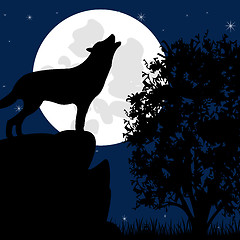 Image showing Wolf on stone in the night
