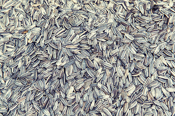 Image showing sunflower seeds texture