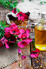 Image showing Bottle of flax oil