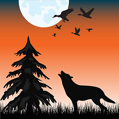 Image showing Wolf in wood