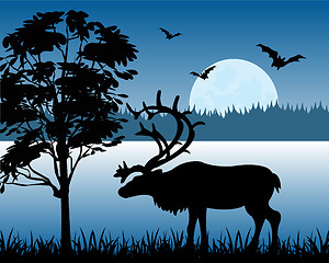 Image showing Reindeer beside lake