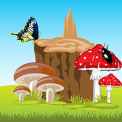 Image showing Mushrooms beside stump