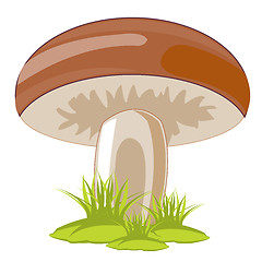 Image showing Mushroom in herb