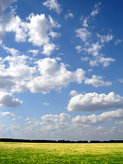 Image showing green field and blue sky