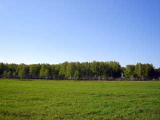 Image showing green field landscape