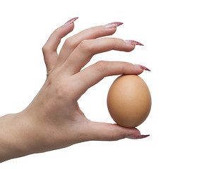Image showing egg and hand