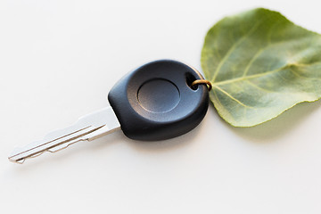 Image showing close up of car key and green leaf