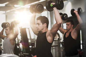 Image showing group of men with dumbbells in gym