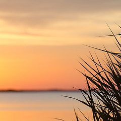 Image showing Soft colored sunset