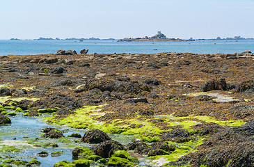 Image showing around Penmarch in Brittany