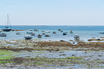 Image showing around Penmarch in Brittany