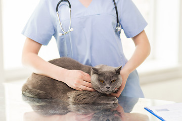 Image showing close up of vet with stethoscope and cat at clinic