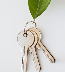 Image showing close up of house keys and green leaf