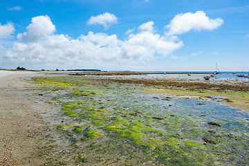 Image showing around Penmarch in Brittany