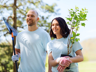 Image showing volunteer couple with trees and rake in park