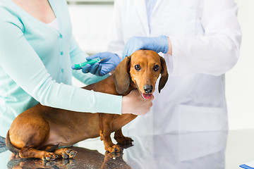 Image showing close up of vet making vaccine to dog at clinic