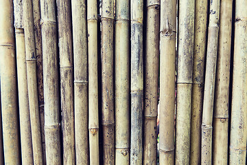 Image showing bamboo cane wall texture