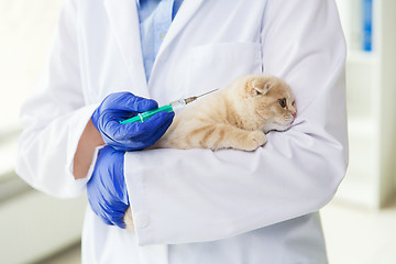 Image showing close up of vet making vaccine to kitten at clinic