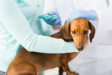 Image showing close up of vet making vaccine to dog at clinic