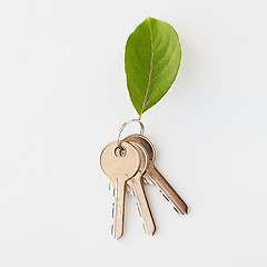 Image showing close up of house keys and green leaf