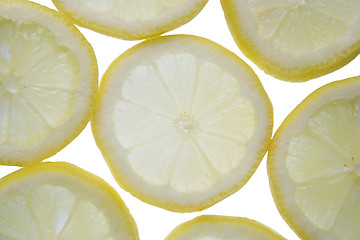 Image showing Backlit lemon