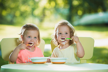 Image showing Two little girls sitting at a table and eating together against green lawn