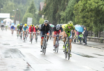 Image showing The Peloton Riding in the Rain - Tour de France 2014