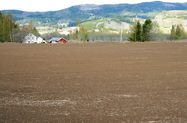 Image showing Farmland in sowing season