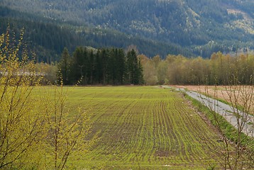 Image showing Farmland in sowing season