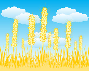 Image showing Field with ripe wheat