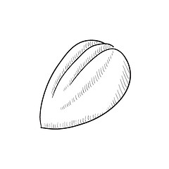 Image showing Almond sketch icon.