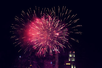 Image showing beautiful fireworks at night city sky
