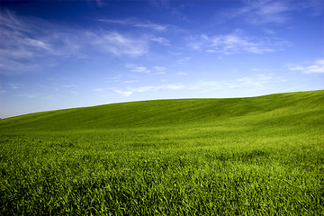 Image showing Spring field