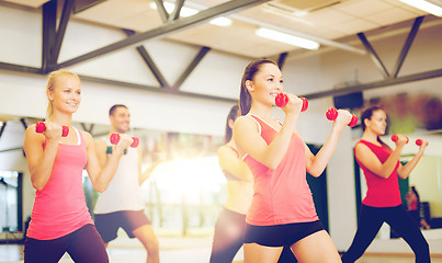 Image showing group of smiling people working out with dumbbells