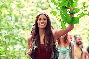 Image showing group of smiling friends with backpacks hiking