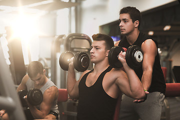 Image showing group of men with dumbbells in gym