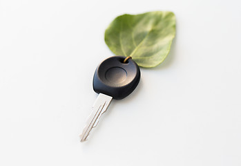 Image showing close up of car key and green leaf