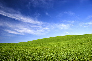 Image showing Spring field