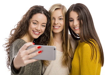 Image showing Girls taking selfie