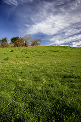 Image showing Spring field