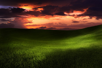 Image showing Beautiful sunset on a green meadow