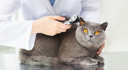 Image showing close up of vet with otoscope and cat at clinic