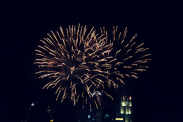 Image showing beautiful fireworks at night city sky