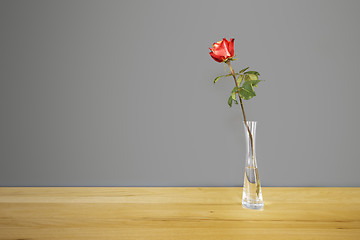 Image showing red rose in front of a gray wall