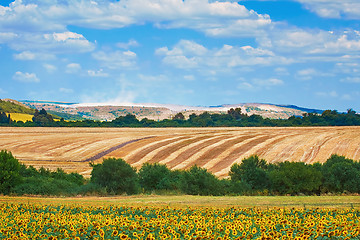 Image showing Agricultural Fields in Bulgaria