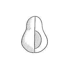 Image showing Avocado sketch icon.